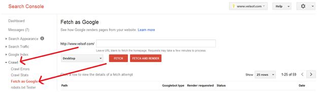 Google Webmaster Fetch