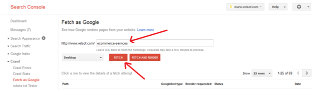 Google Webmaster Fetch