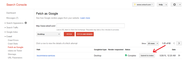 Google Webmaster Fetch