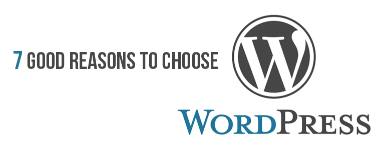 Reasons to choose WordPress as your website development platform- Volume 2 | Velsof