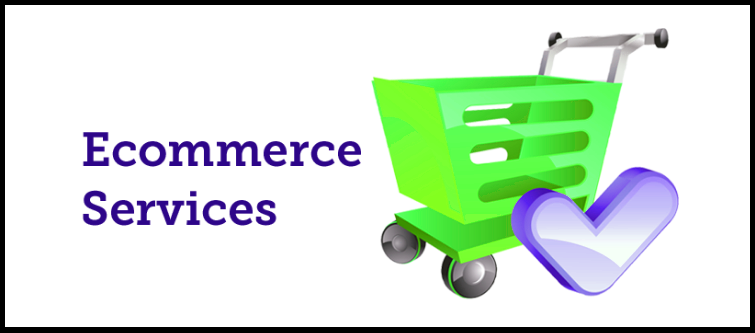 Best eCommerce services company in India | Velsof