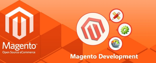 What you need to look out in an excellent Magento development company | Velsof