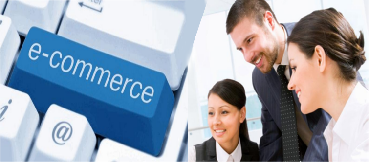 eCommerce Consulting Services | Velsof