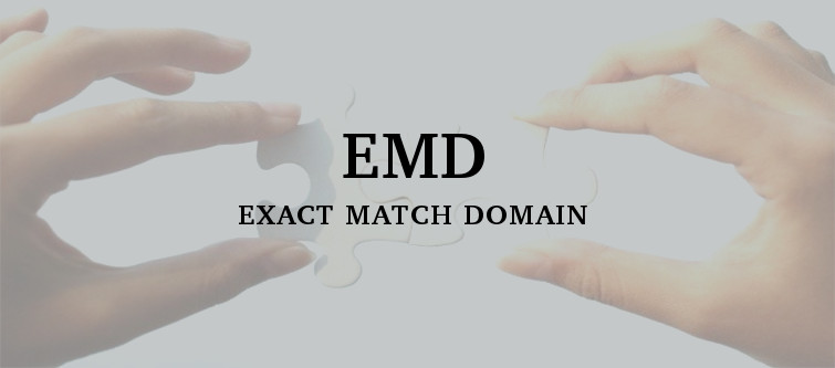 Match exactly. Google EMD (exact Match domain) algorithm. Google EMD (exact Match domain) algorithm logo.