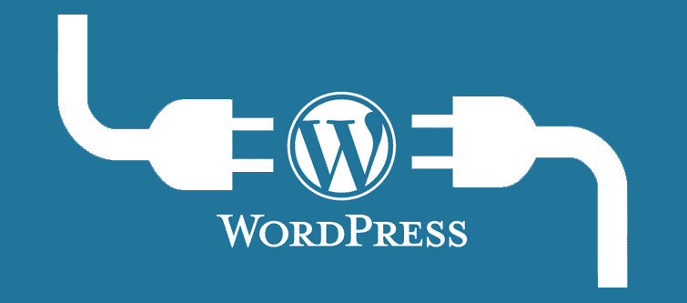 How to install a WordPress Plugin? | Velsof