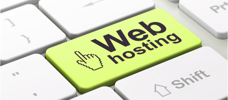 Things that you should look for in a web hosting company | Velsof