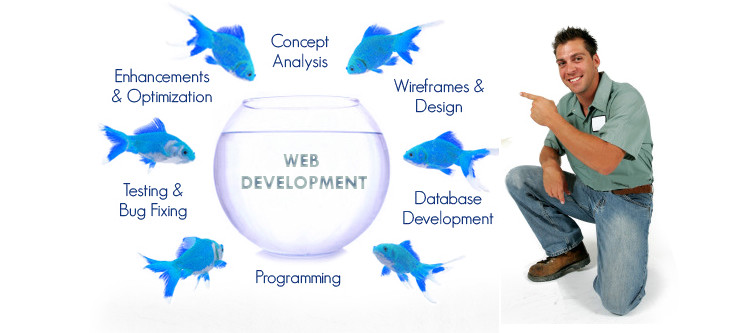 What are the essentials of a web development team? | Velsof
