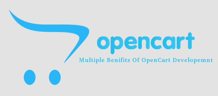 Expectation form OpenCart web development services | Velsof