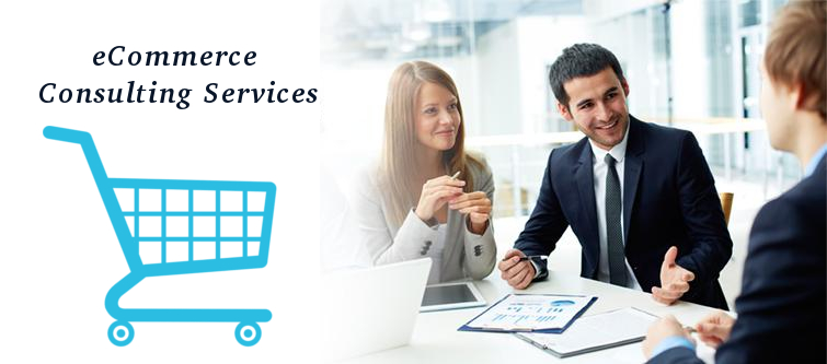 Benefits of eCommerce consulting services for your online business | Velsof