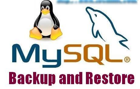 MySQL backup or restore
