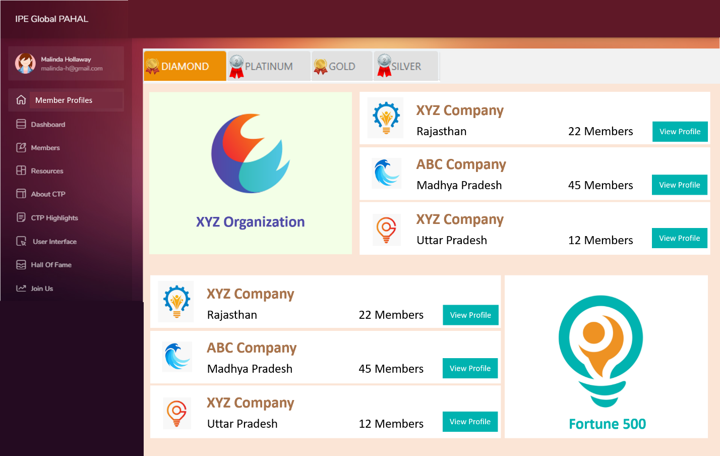 Application Screenshot 3